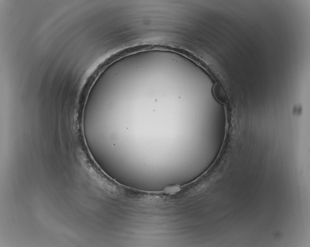 X0000113120880200909111137