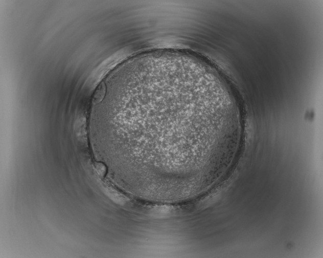 X0000113120881200909111137