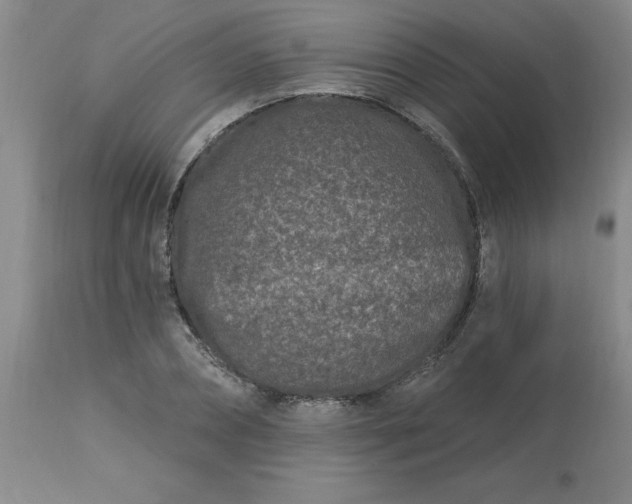 X0000113120882200909111137