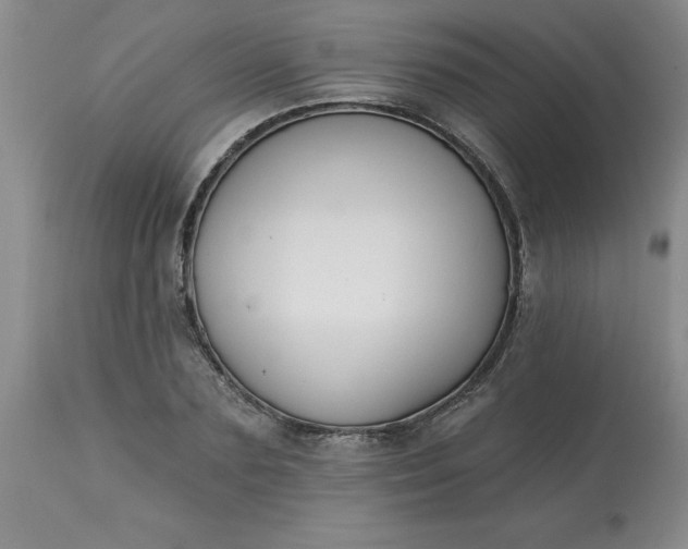 X0000113120883200909111137