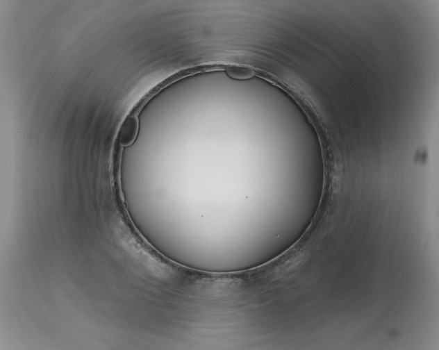 X0000113120884200909111137