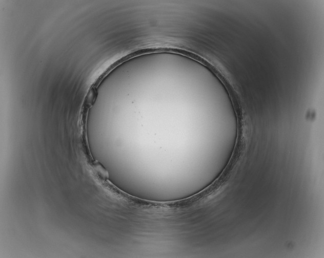 X0000113120885200909111137