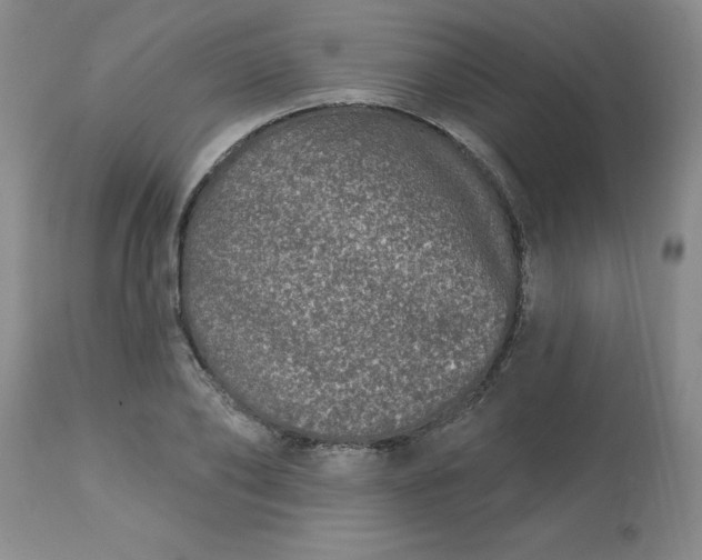 X0000113120886200909111137