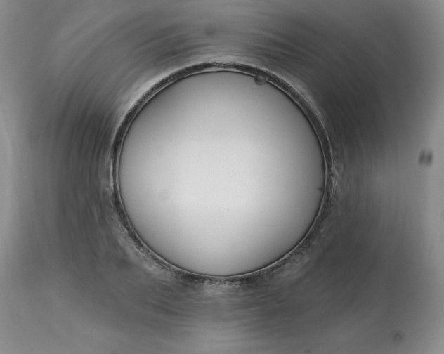 X0000113120887200909111137