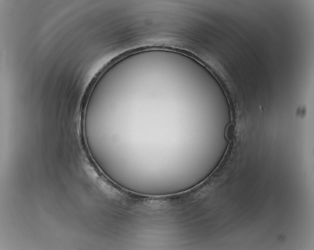 X0000113120888200909111137