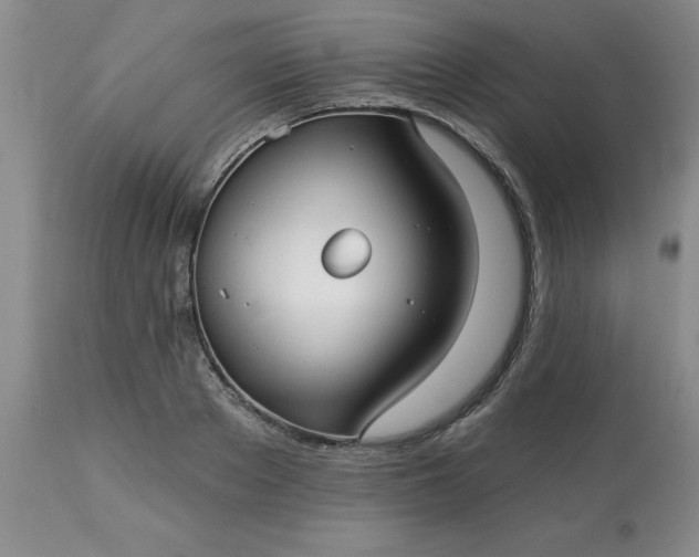 X0000113120889200909111137