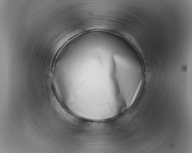 X0000113120890200909111137