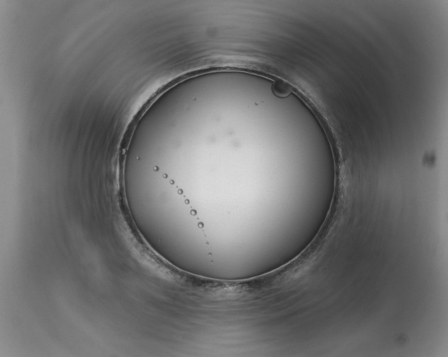 X0000113120891200909111137