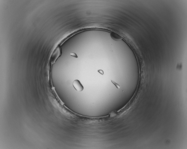 X0000113120892200909111137