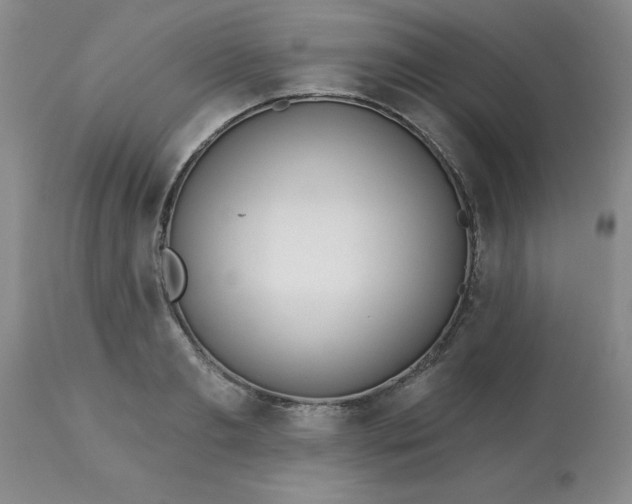 X0000113120893200909111137