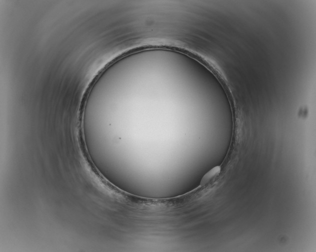 X0000113120895200909111137