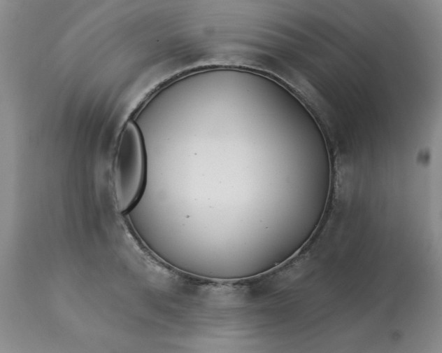 X0000113120896200909111137