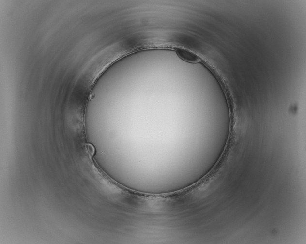 X0000113120897200909111137