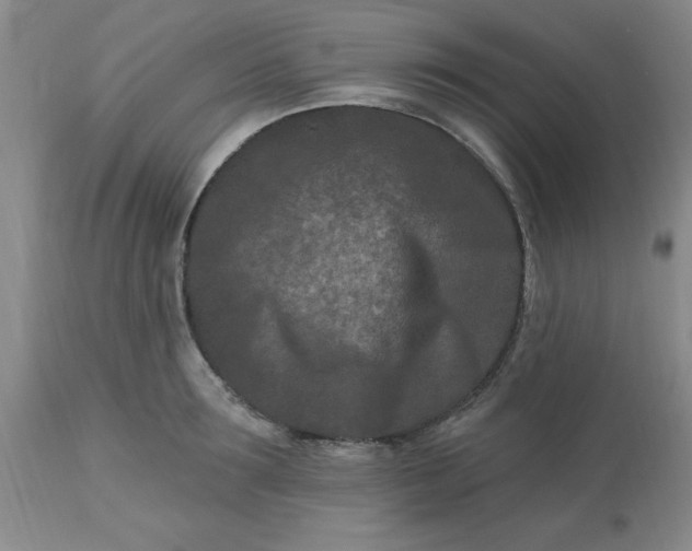 X0000113120899200909111137