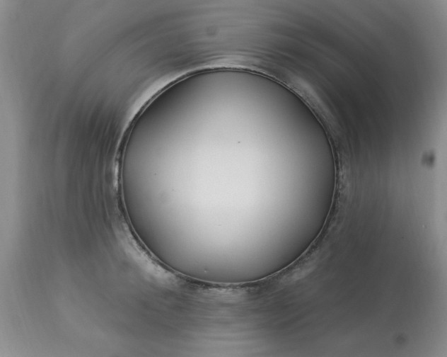 X0000113120900200909111137