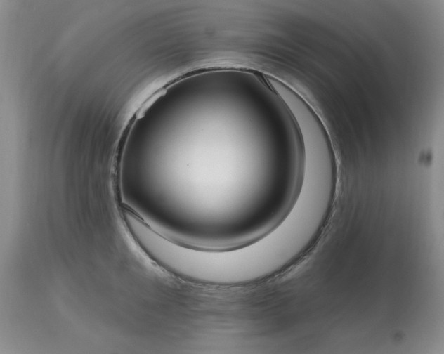 X0000113120901200909111137