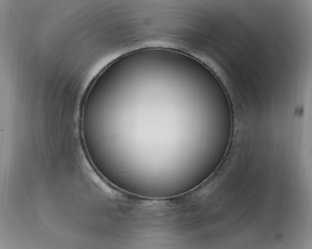 X0000113120902200909111137