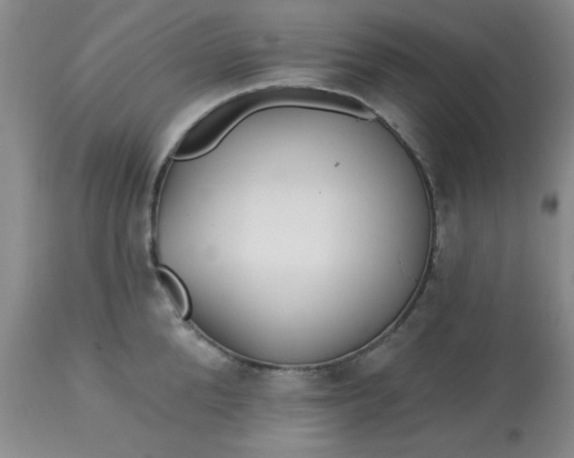 X0000113120904200909111137