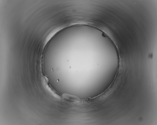 X0000113120906200909111136