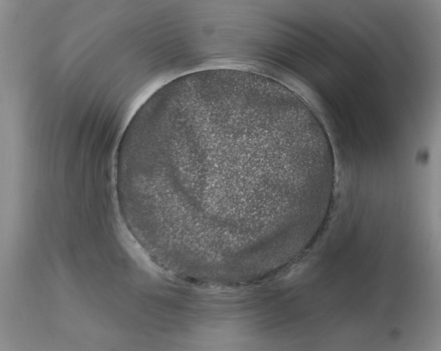 X0000113120907200909111136