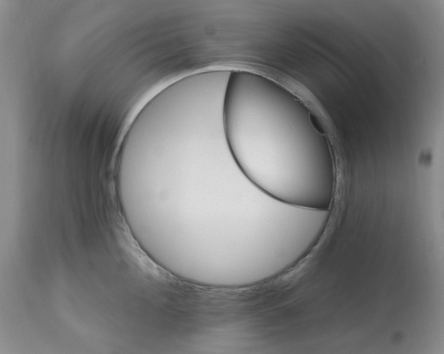 X0000113120908200909111136