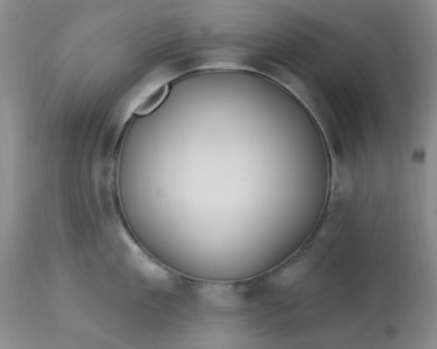 X0000113120909200909111136