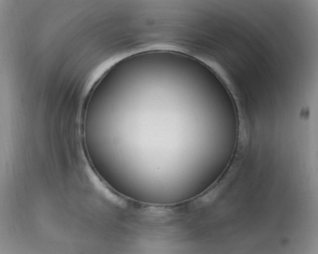 X0000113120910200909111136