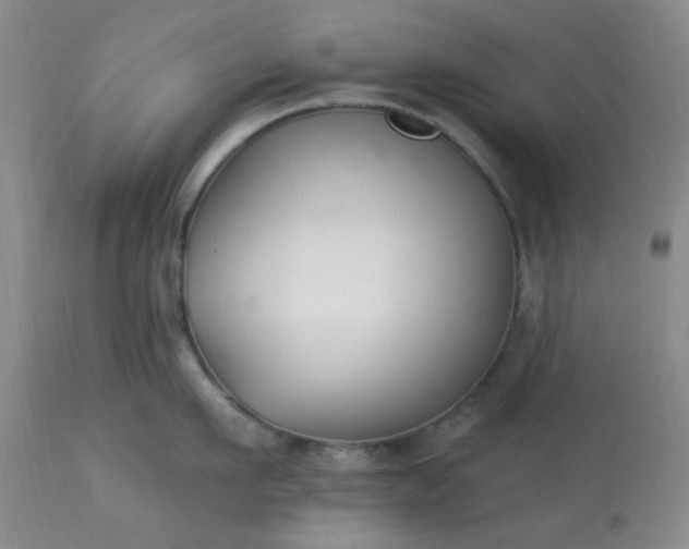 X0000113120911200909111136