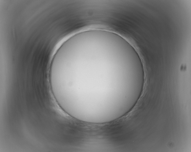 X0000113120912200909111136