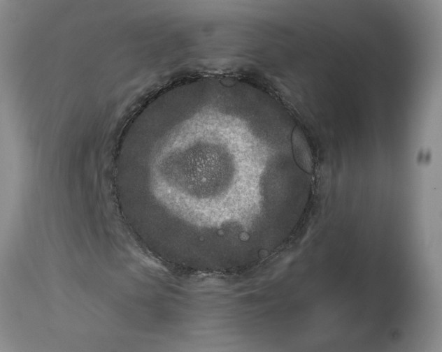 X0000113120913200909111135