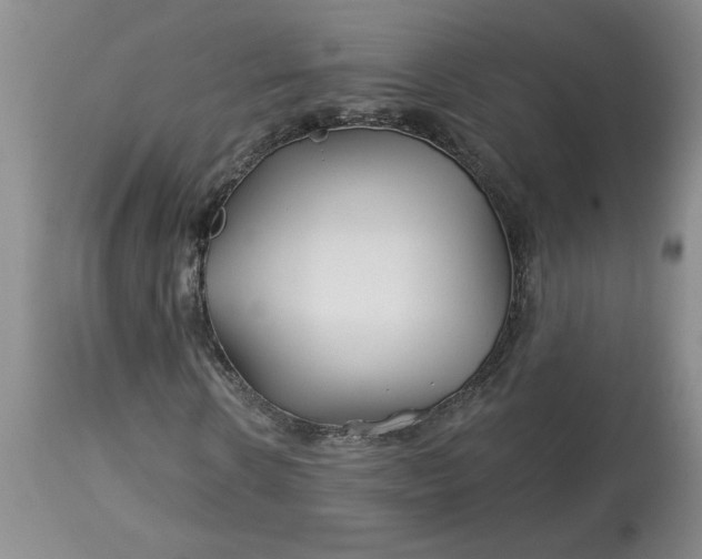 X0000113120914200909111135