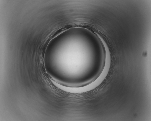 X0000113120915200909111135