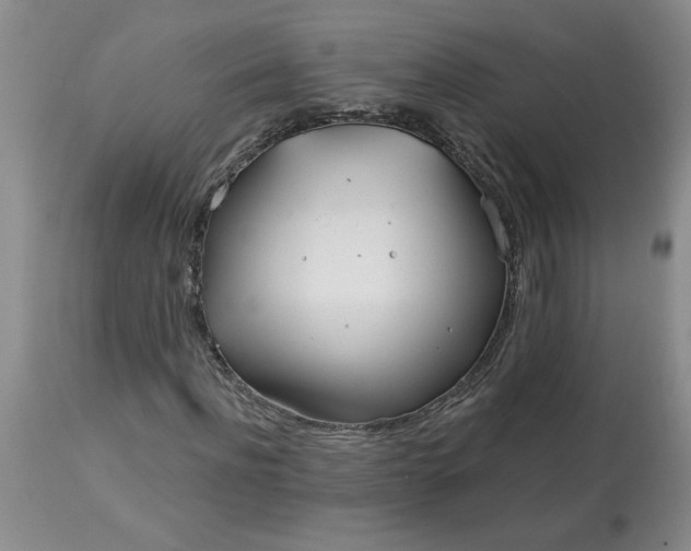 X0000113120916200909111135