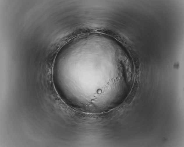 X0000113120917200909111135