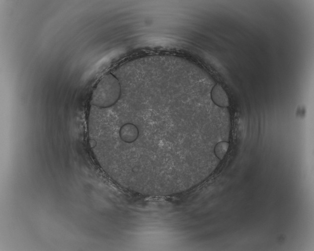 X0000113120918200909111135