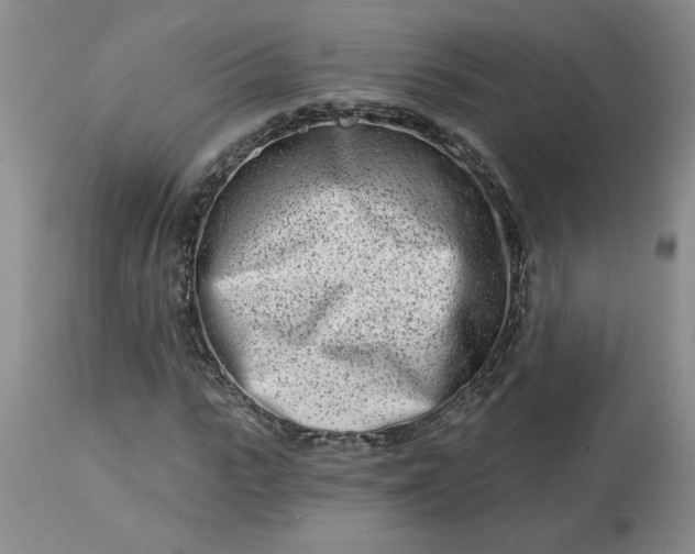 X0000113120919200909111135