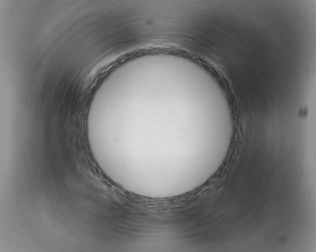 X0000113120920200909111136