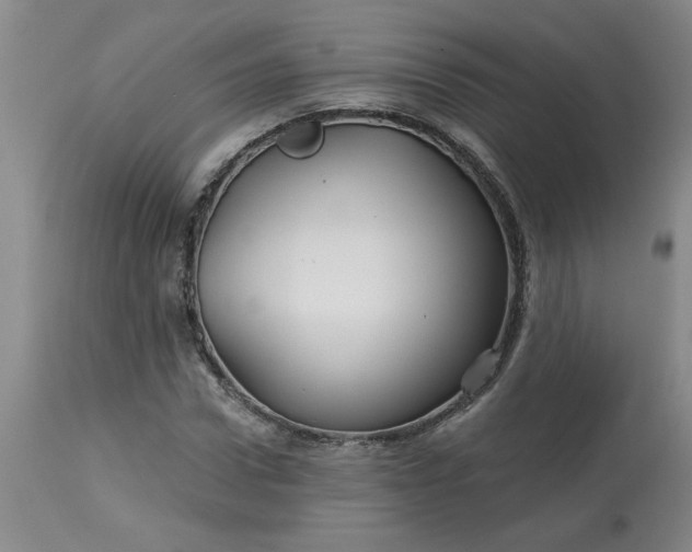 X0000113120922200909111136