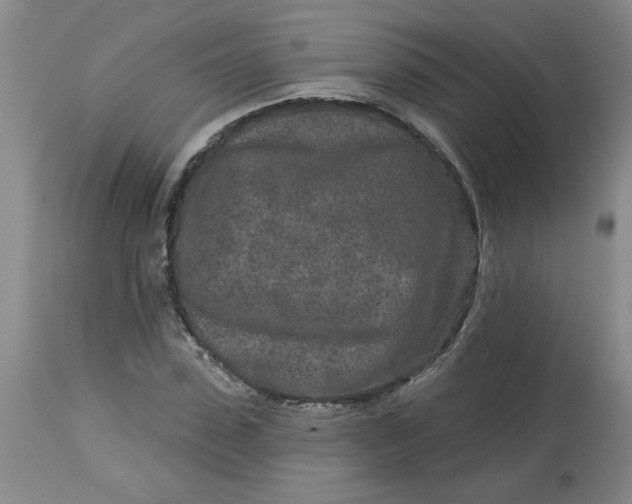 X0000113120923200909111136