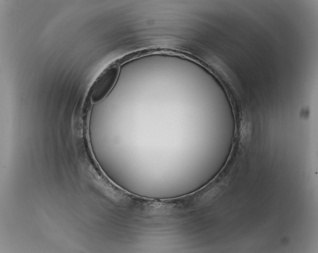 X0000113120924200909111136