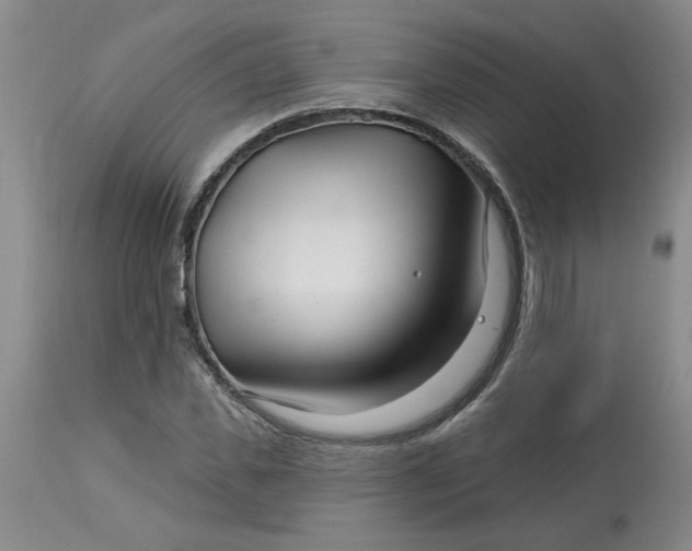 X0000113120925200909111136