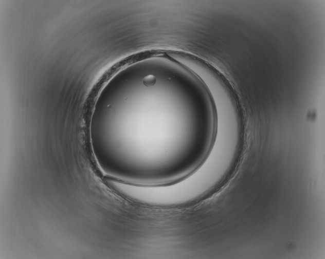 X0000113120926200909111136