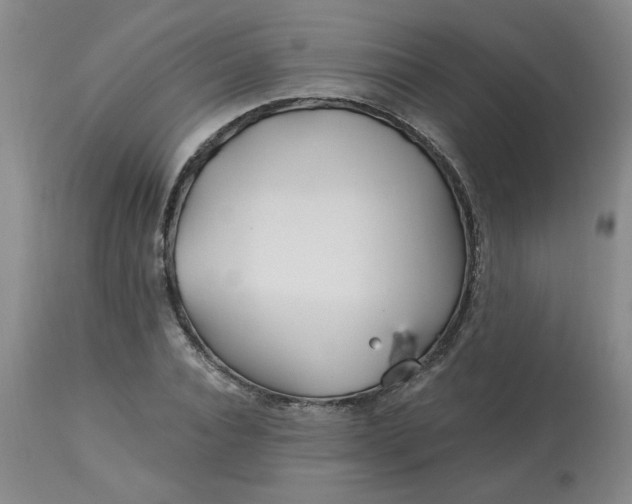 X0000113120928200909111136