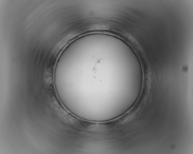 X0000113120929200909111136