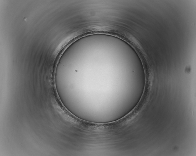 X0000113120930200909111136