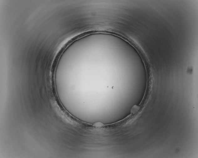 X0000113120932200909111136