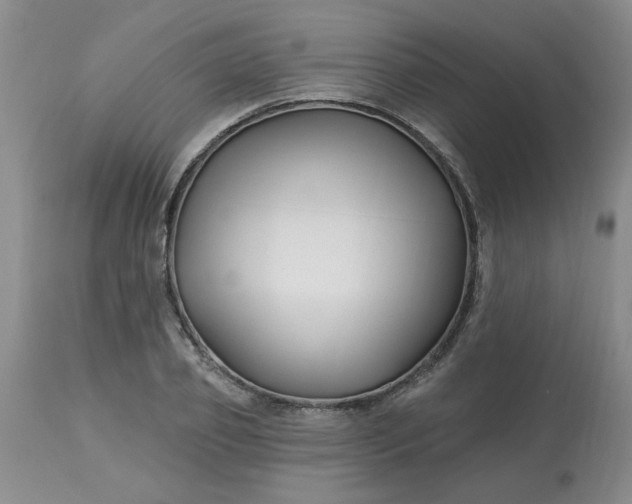 X0000113120933200909111136