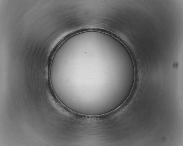 X0000113120934200909111136