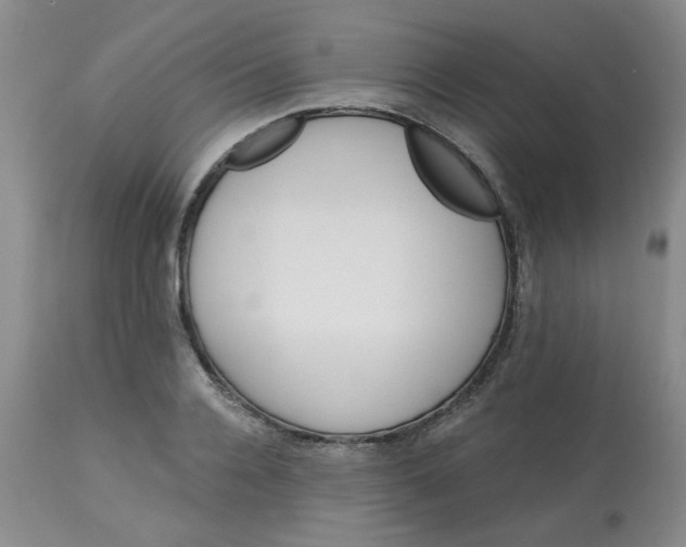 X0000113120936200909111136