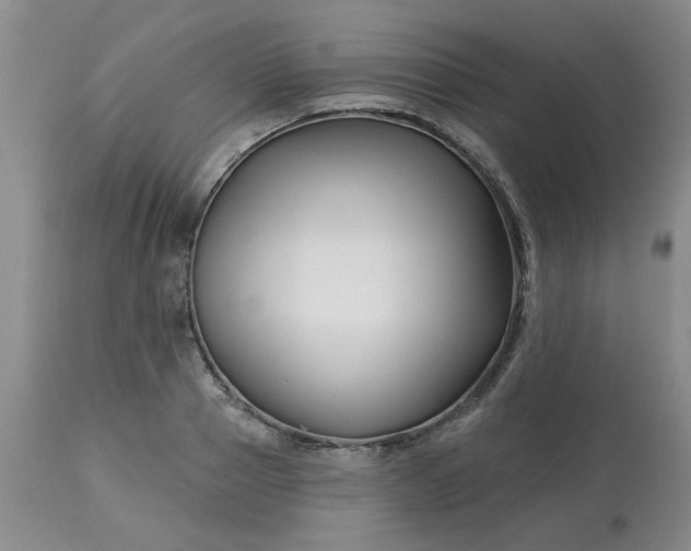 X0000113120937200909111136